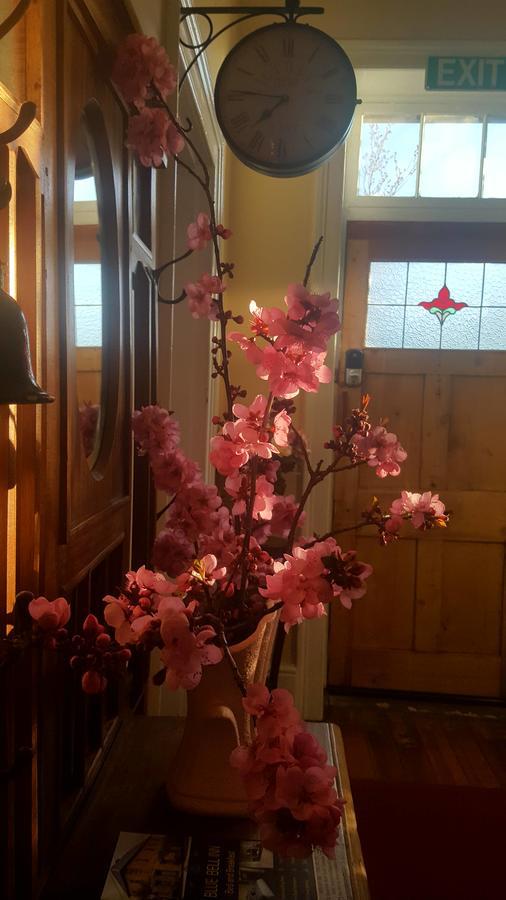 Sorell Blue Bell Inn المظهر الخارجي الصورة