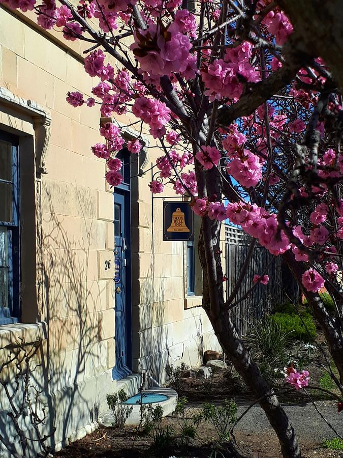 Sorell Blue Bell Inn المظهر الخارجي الصورة
